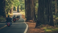 European Motorcycle and Scooter Sales Show Signs of Recovery in H1 2026